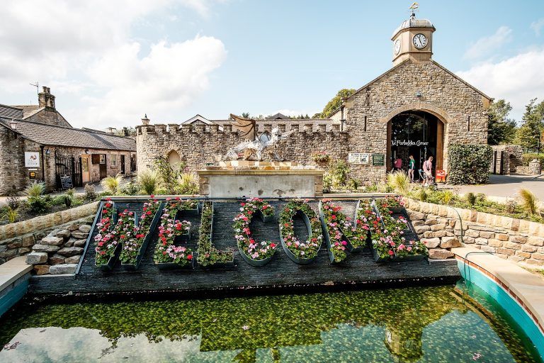 277553070 5257496627639577 1657631971589787166 n 768x512