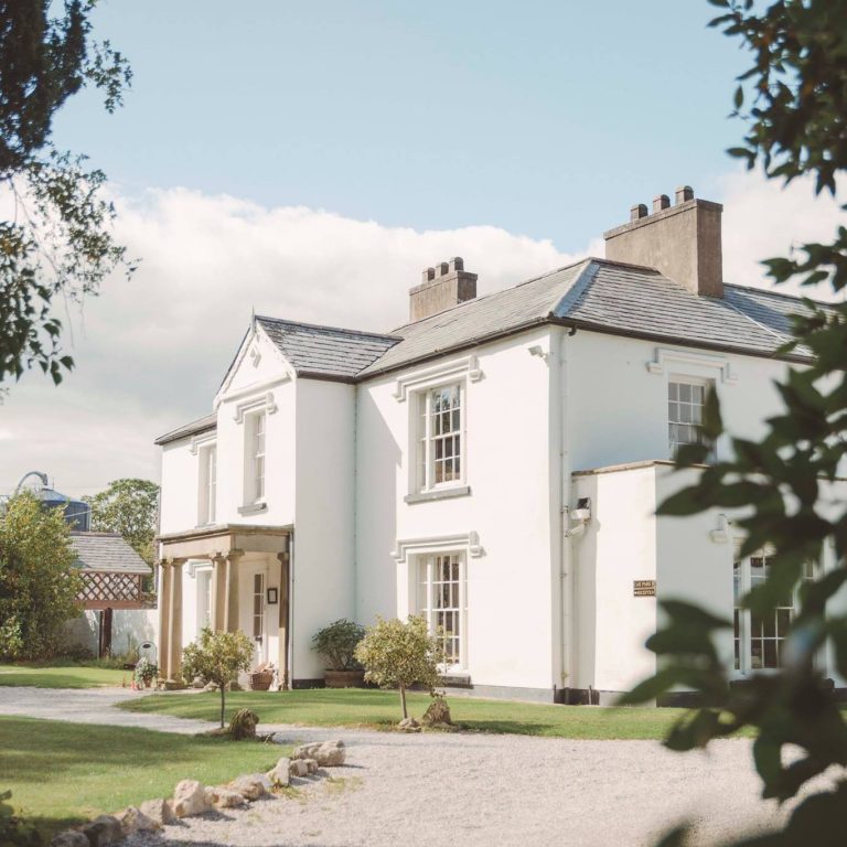 28164956 1812578725421141 430759751305347601 o 768x768