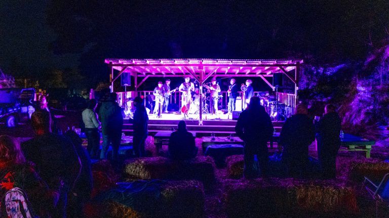 2826a67d acbc 4af0 a679 3be40a3ad6ea 768x432