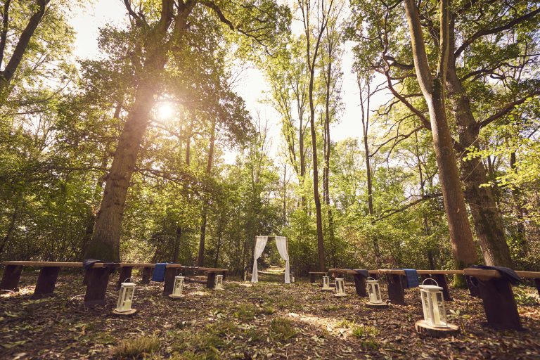 289 LoseleyParkWeddingShowcase2018 768x512