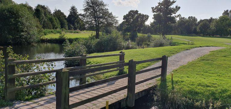 2a495699 219a 42f8 8c9b 2bddadfc525c 768x363