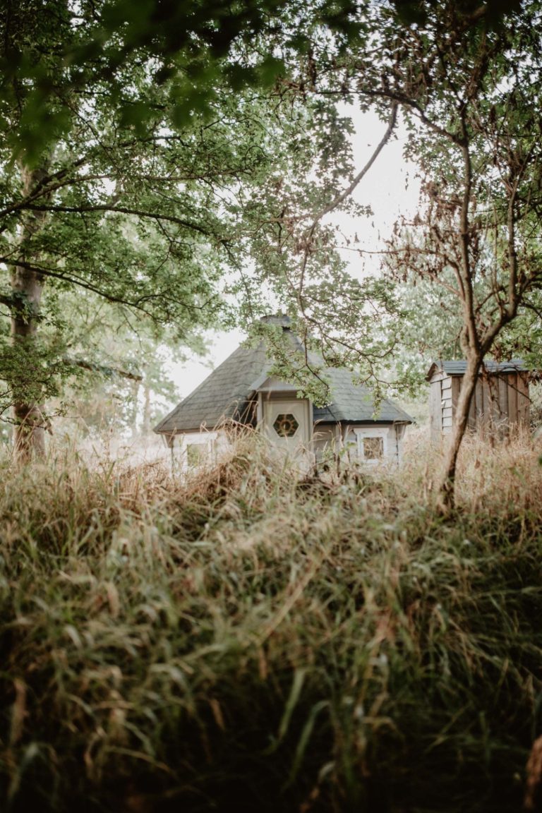 2a9b9c4d 08ff 41ec 9d18 a303c8805846 768x1152