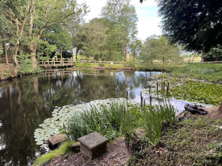 2ca0b3ef cb26 4f1c 8c31 3e445efd40f3 768x576