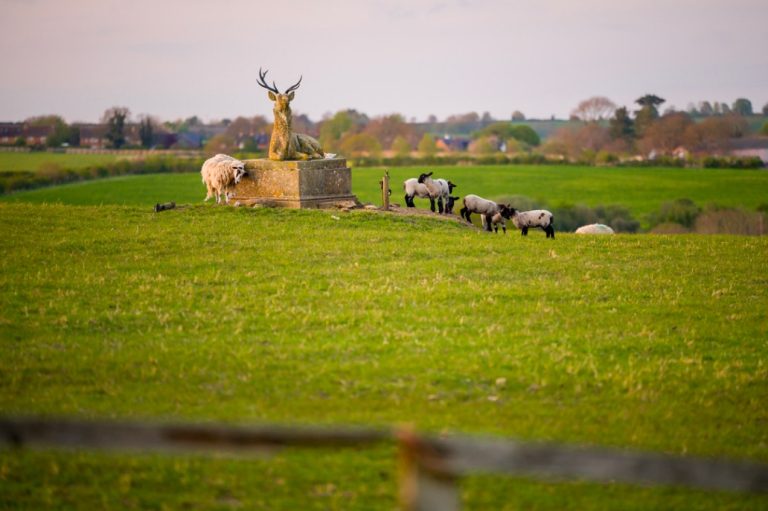 2d74eeb3 4265 4518 984e cd96db08713a 768x511