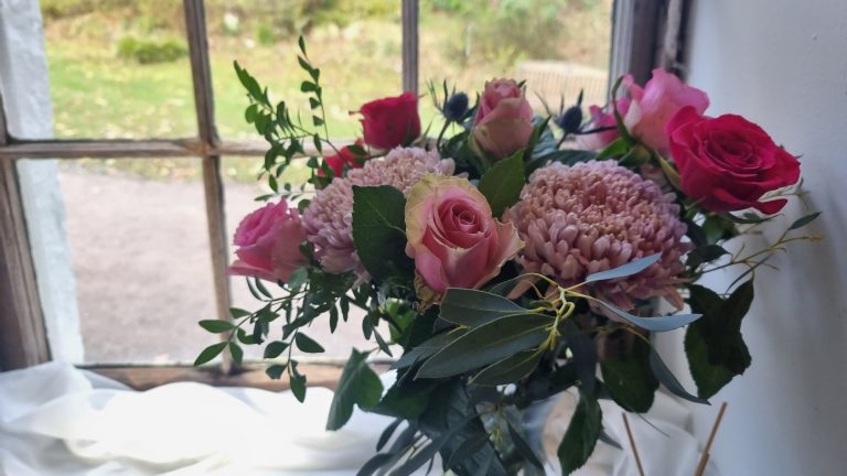 2ea93436 66d7 4f44 89d3 6e22c58b25b1 768x432