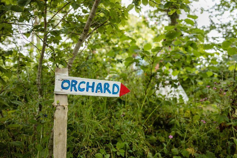 31d6c2a4 1e92 4e28 b323 3691cc3479aa 768x512