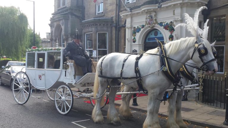 321d34a9 91f3 4fdd a9b4 9ee2c87a20a3 43979 768x432