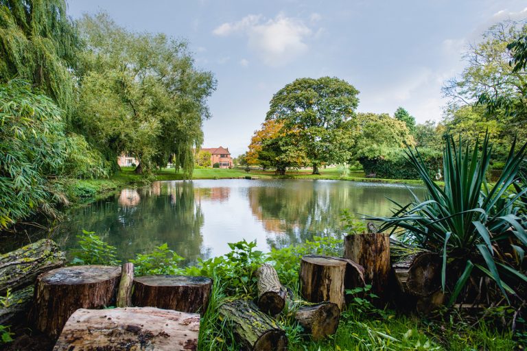 34c048fb 5ced 4484 9538 7088c5c3c473 768x512