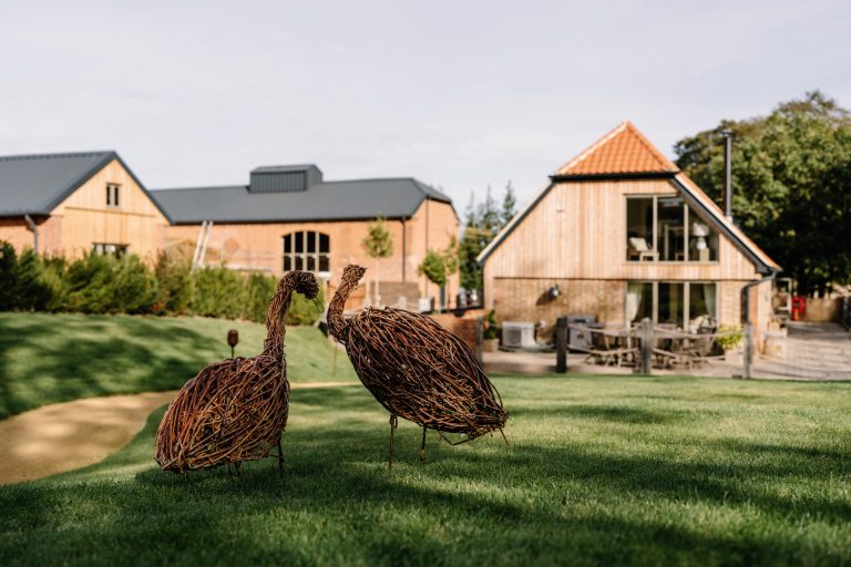 35e398f3 f026 4d66 aeb7 091ab53dba62 768x512