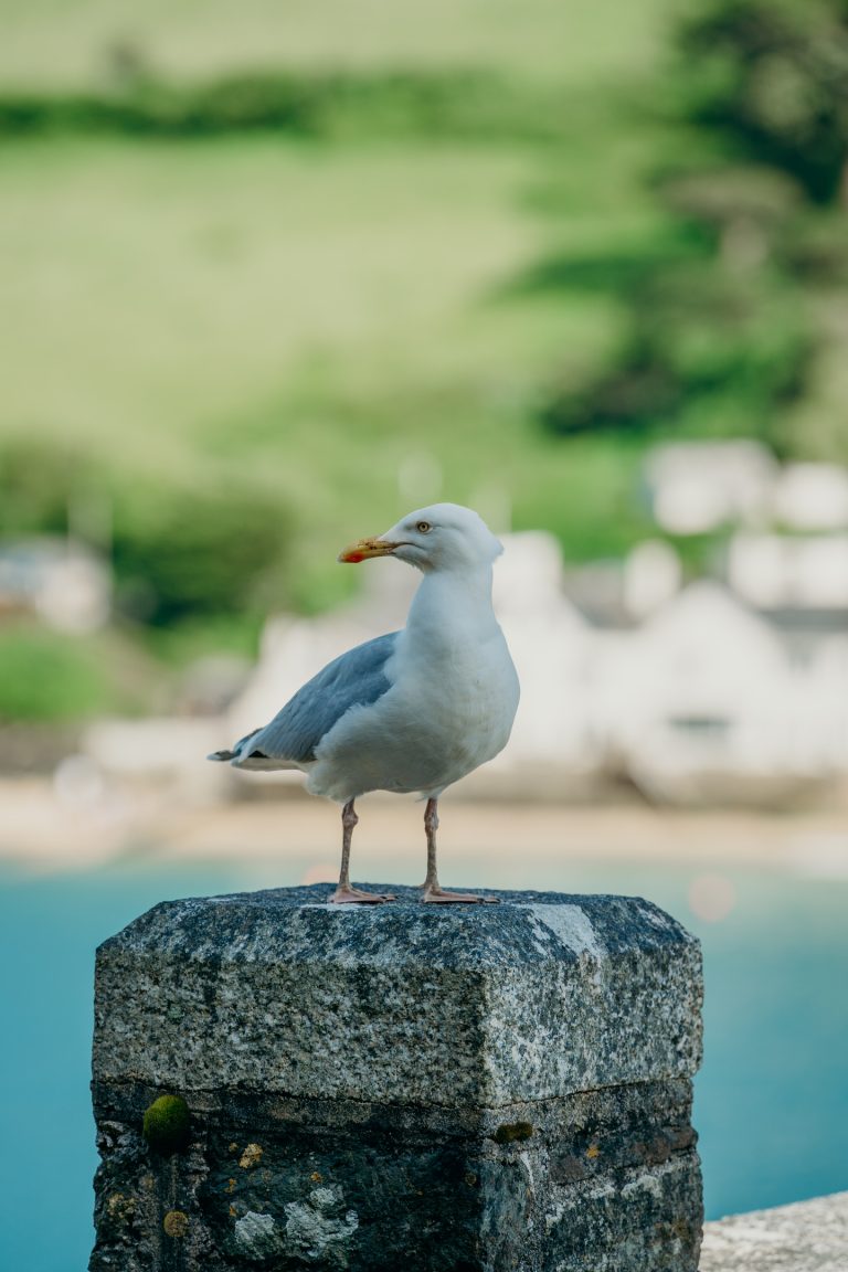 37386229 6722 4dd7 8b63 8fa62ee8e2a8 768x1152