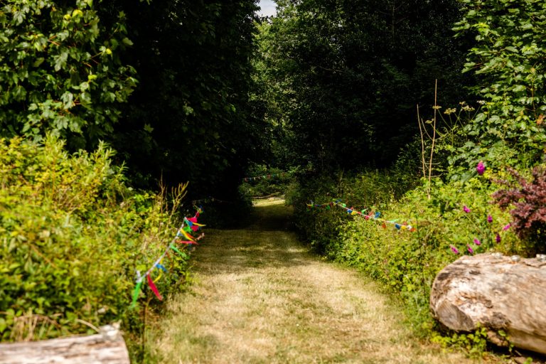 37a4a6d5 c711 4406 8d6d bd50d5bd1d07 768x512