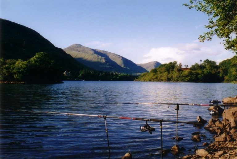 3868395 n8xuzv 768x517