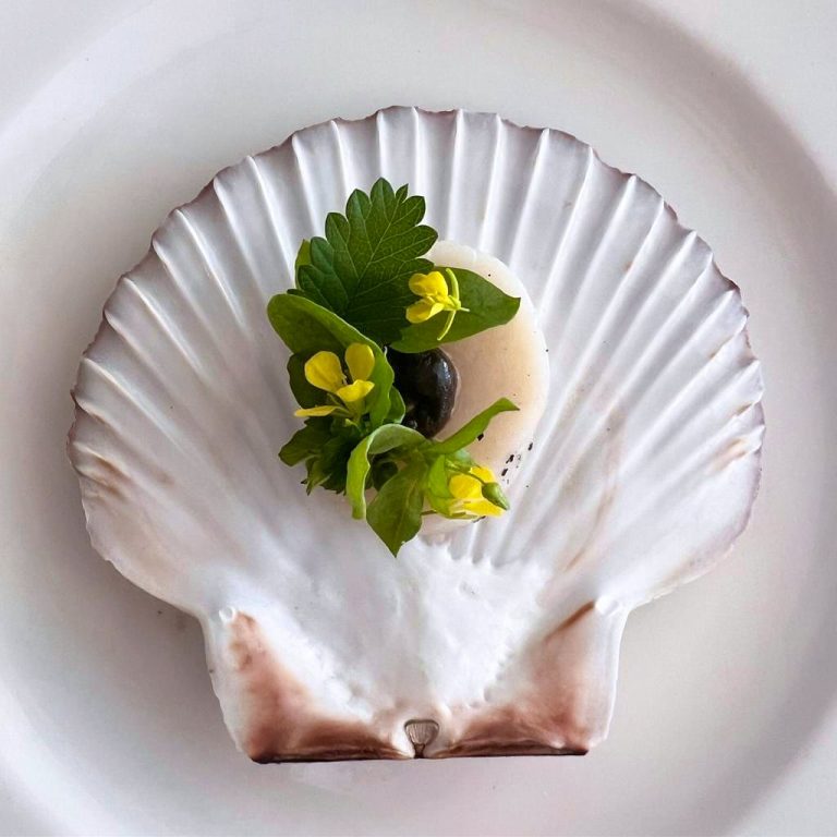 396961617 18386254507027864 5935889964032257077 n 13112023120912 768x768