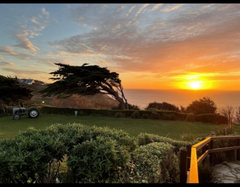 3a76d94e 9db8 4434 a90d 3b84a05b90f2 768x600