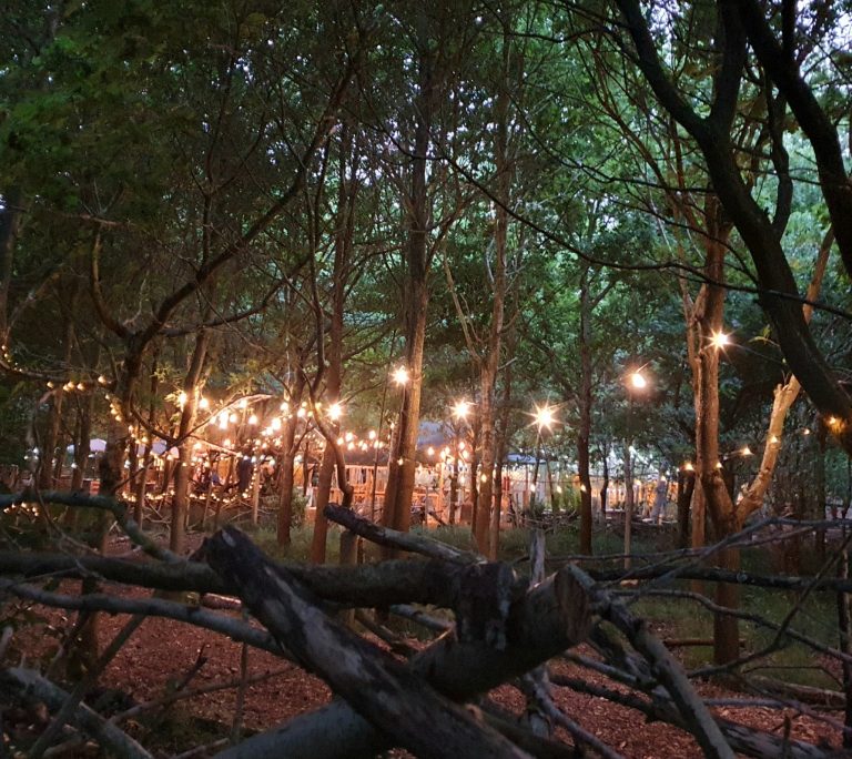 3ad18305 e6a3 4203 b5c0 42f6c6b89eea 768x684