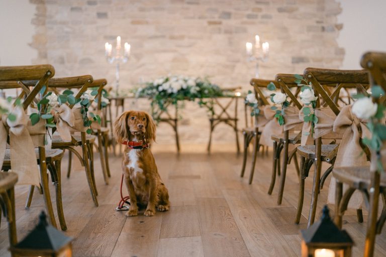 3b238569 24ac 46f5 8fa7 403b3cdc6b29 1 768x512