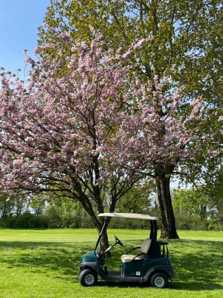 3c2dd057 c234 401e 86ac a7088287f85a 768x1024