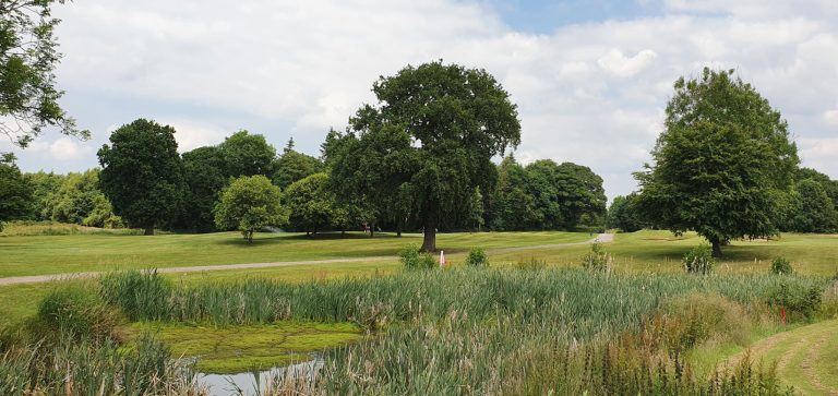 3ce93c48 1036 478b b6d9 0a75bf093f0c 768x363