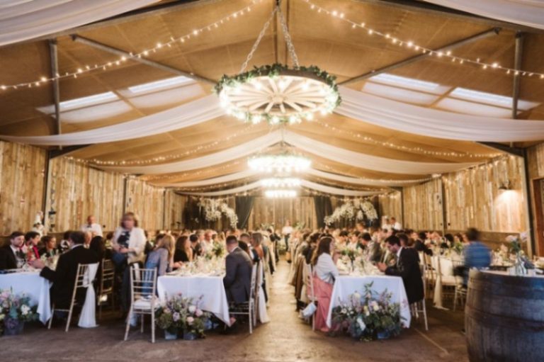 3d018b3e 36fc 408f 8ec7 4cd2e9837438 768x511