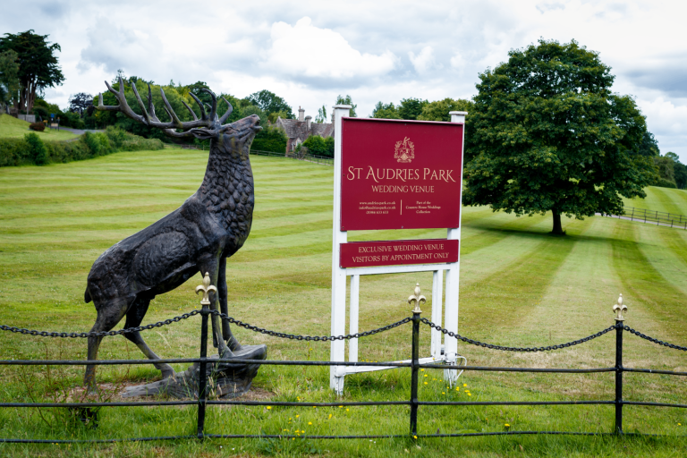 3da8f23e d186 4665 b562 9eb1f4072f0e 768x512