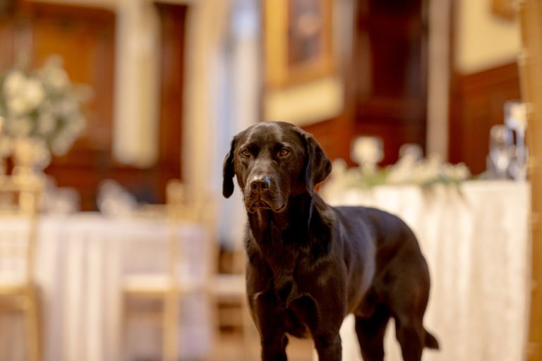 3dc3d79e 9754 4301 9b84 c28ba2f05eee 768x512