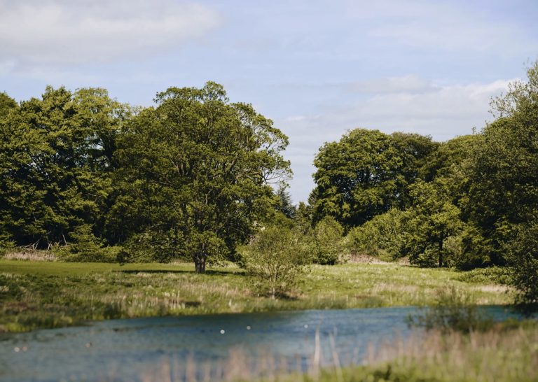 3f0e559e 4984 4b28 9643 b4ba2fbde1e6 768x546