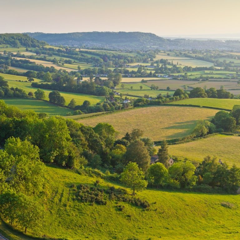 40114e5a 37b1 4e60 9bca 74d191b1ce53 768x768