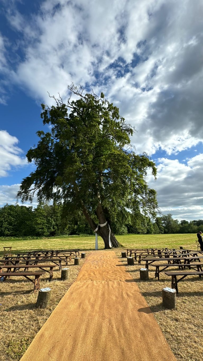 4341127A 82DC 4757 ADA3 4CE678F7EE7D 768x1365