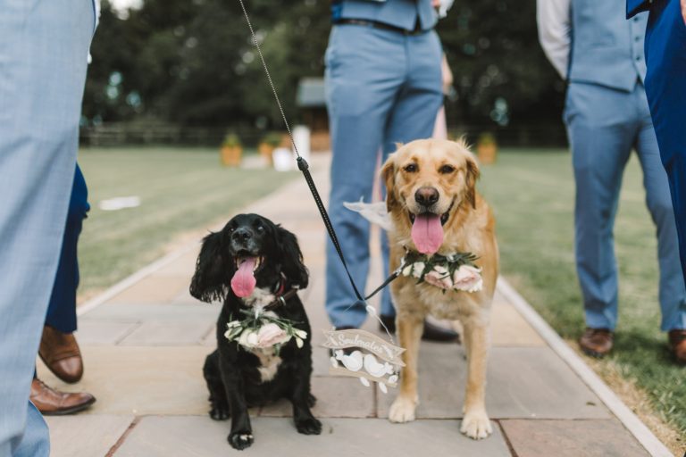 445ae79c f10e 41cf a546 a0ba198d88a9 768x512