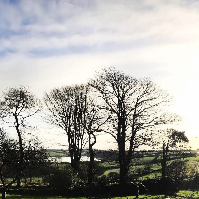 469D0753 8A79 4ADC 9EBE D97E0BBB9F73 768x768