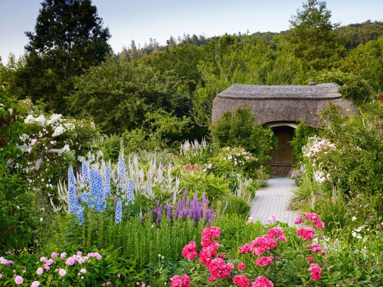 46ca8983 c72b 4474 ad9c ab11d8c48340 768x576