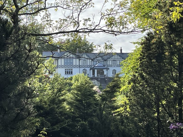 47A9E1D6 B7E0 47D0 A201 F076A845D521 768x576