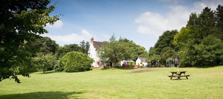 47e830aaa96b4af2b5c8a92b0ad3ca12 ichqyx 768x341