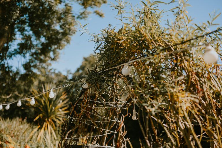 4b64ec1d 48df 4835 bcab f0881e102be6 768x511