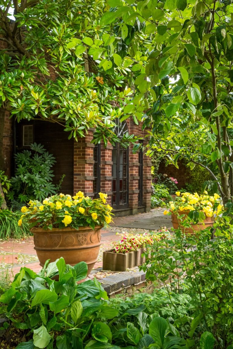 4c15486e 18a7 4aeb 99d5 61d62bcb5867 768x1151