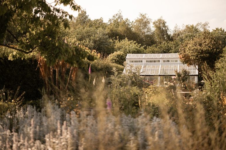 4c930062 91f5 4154 b606 1258b89b5d06 768x512