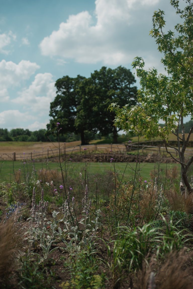 4dad9d40 6bbe 4f85 8586 1723b5cfc9ce 768x1152