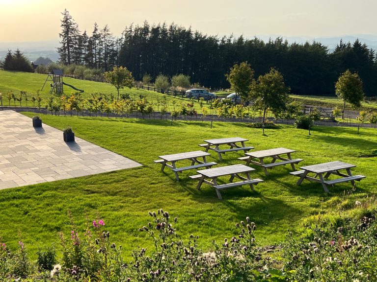 4de243ef e2b7 480b 960e ed1f587d1af4 768x576