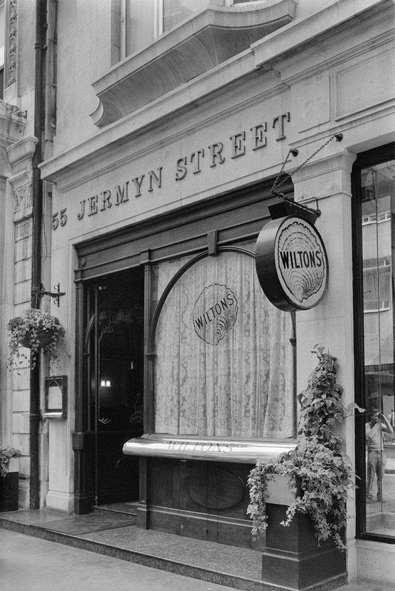 50147960101 34fd40fefb o 12042024013419 768x1150