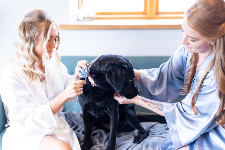 505063dd 0f61 4f54 abc7 4f85c460bc73 768x512