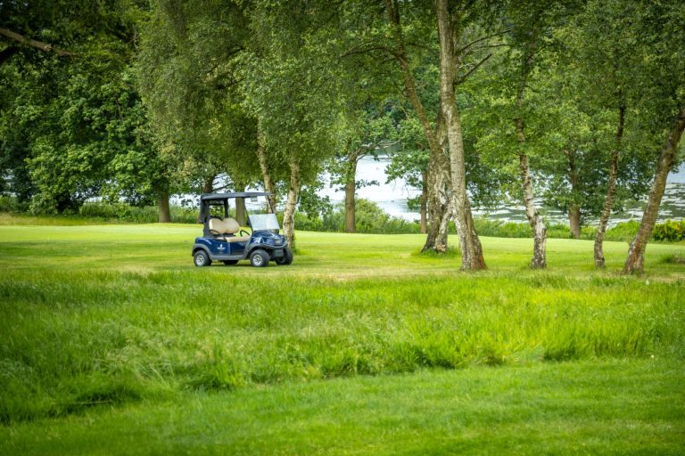 5159c151 b320 40ec 92b3 4c7d439801d2 768x512