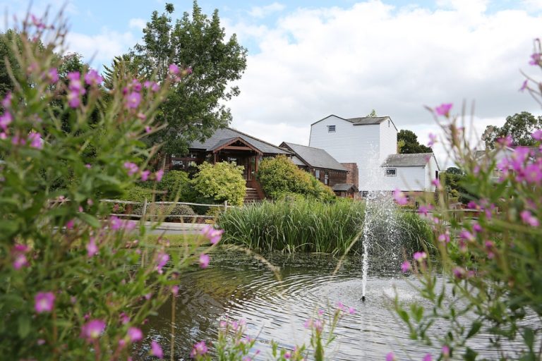 516922b3 7b47 448f 9de1 478a9c78dac1 1 768x512