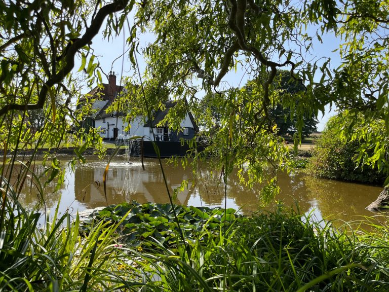 51719454 9f0b 42a2 84bf 96240d6f9c1e 768x576