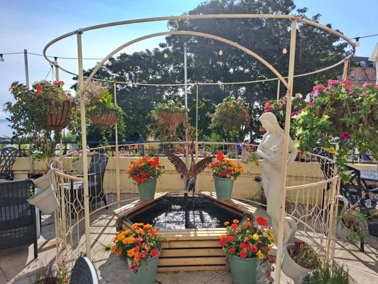 528e1057 ae20 4609 a7d8 48b87a34ff10 768x576