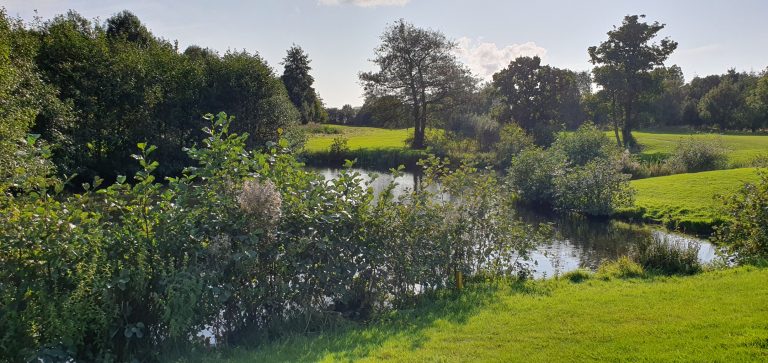 52961465 8b3b 4b41 9d45 b5bd9a89df4b 768x363