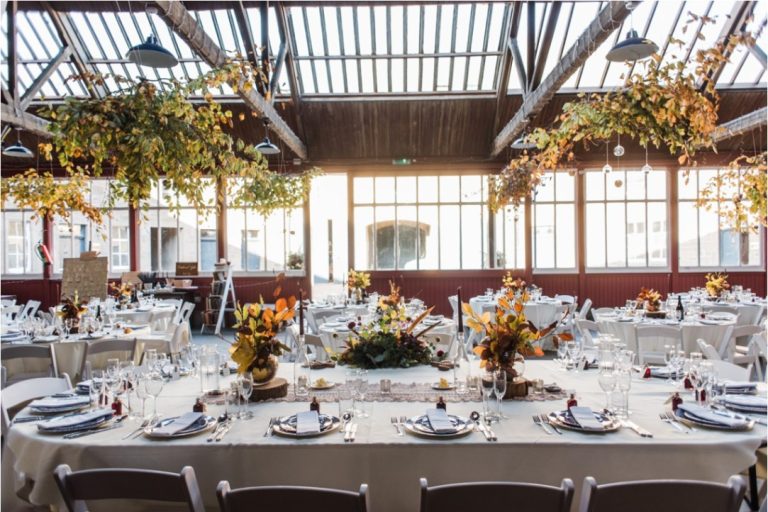 52996956 0fd8 4ce3 a632 92bd18e35781 768x512