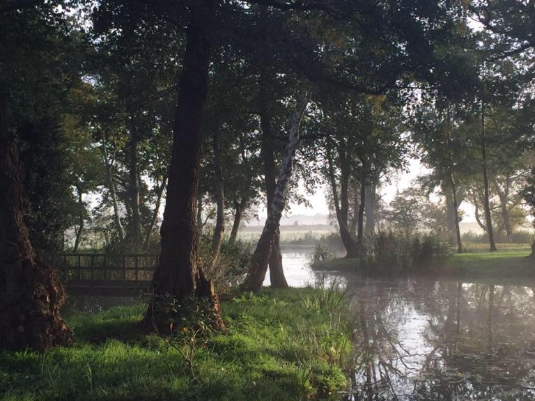 52a37a10 3923 4ffd 94c0 e3d58d72e4c4 15107459 1607033946266115 5490738098925463420 n 768x576