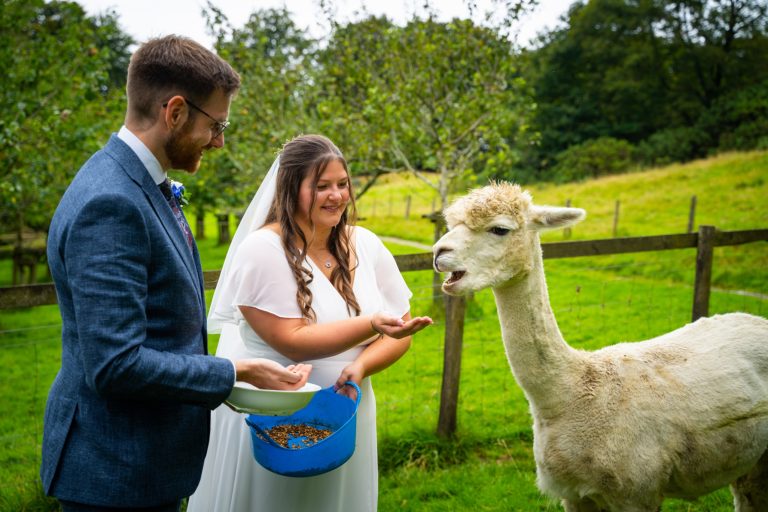 52adcc7e 35e9 4038 afca 950cc783bebc 768x512