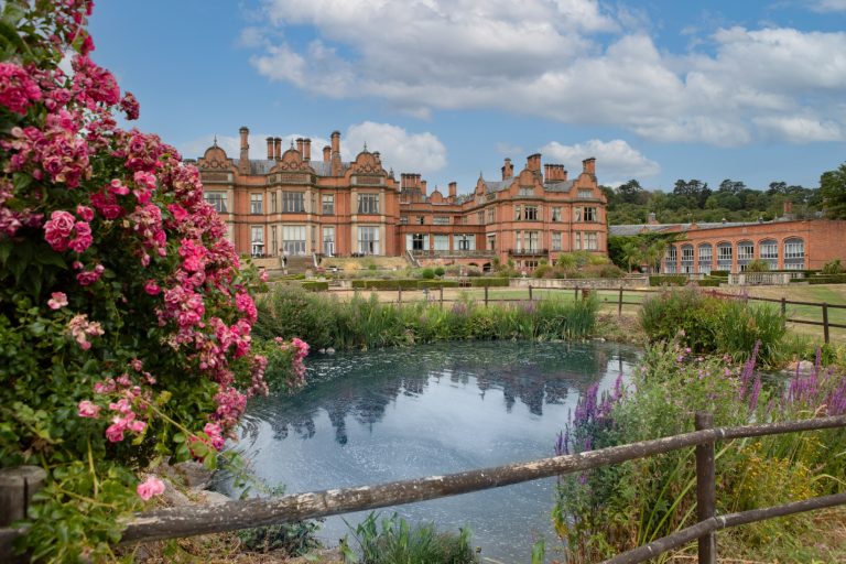 53529841 a5c9 40c8 873c 7450c6bf7e73 768x512