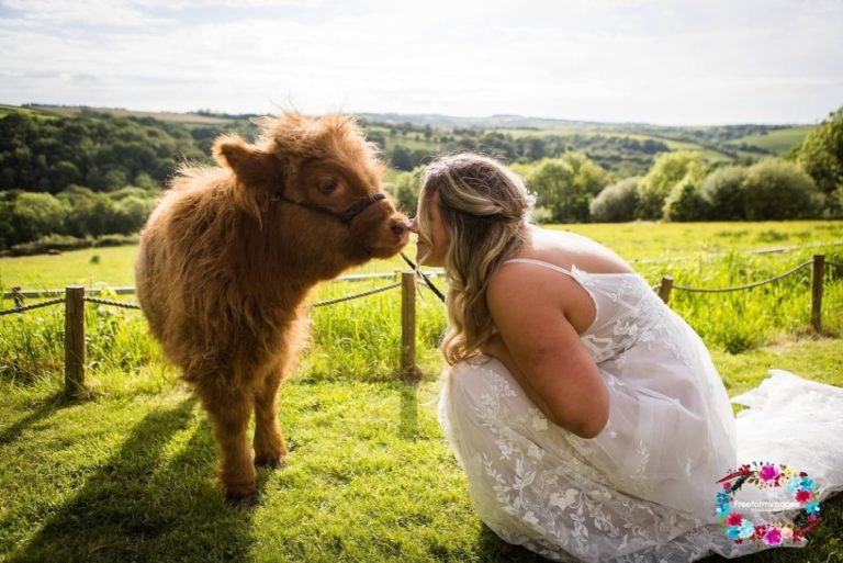 53677d7b 98b9 4f4d abe0 89295bc640fe 768x513